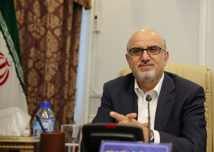 بهزاد محمدی،مدیر عامل شرکت ملی صنایع پتروشیمی
