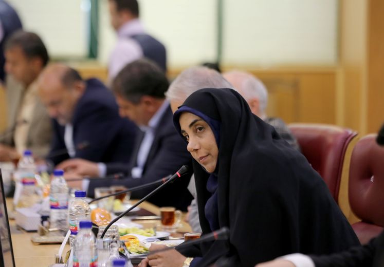 سکینه الماسی، عضو کمیسیون انرژی مجلس شورای اسلامی