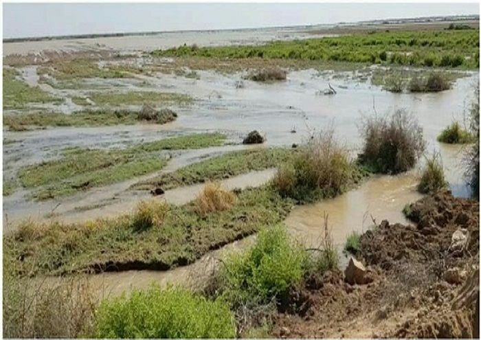 مشارکت مناطق نفت‌خیز جنوب در تخلیه آب مزارع روستاهای سوسنگرد
