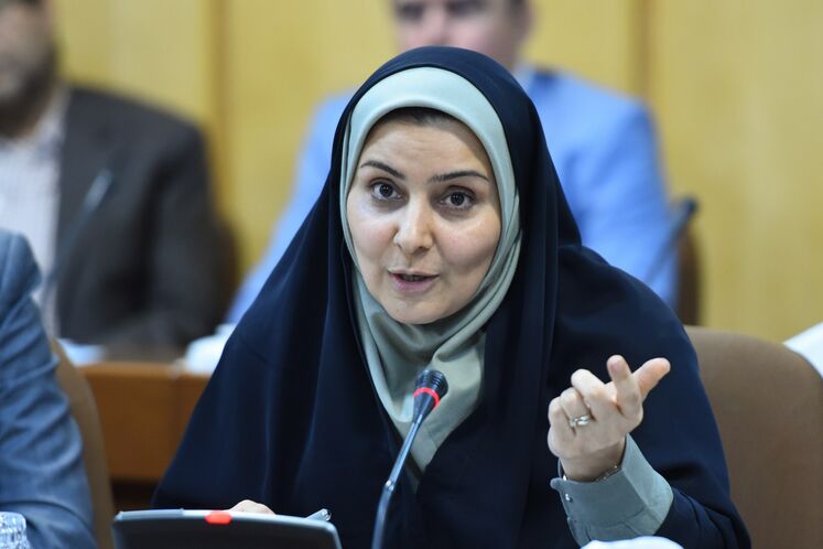 فرزانه صادق مالواجرد، دبیر شورای عالی شهرسازی و معماری ایران