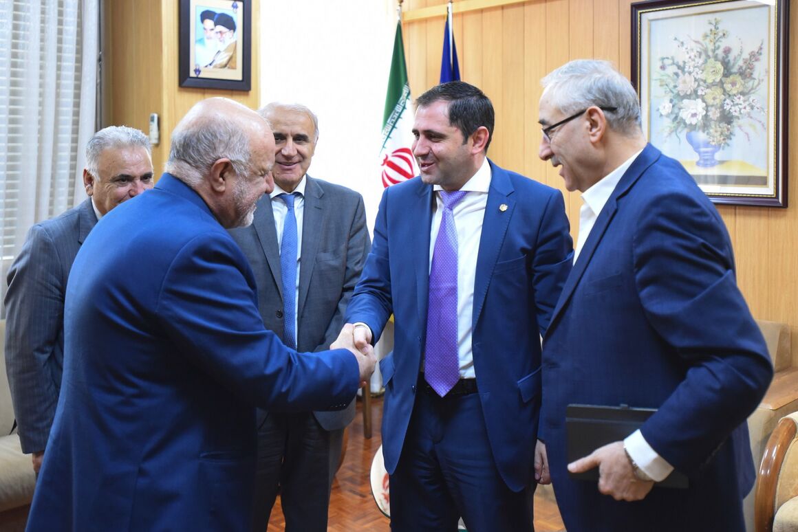 وزیر نفت با وزیر مدیریت و زیرساخت‌های ارمنستان دیدار کرد