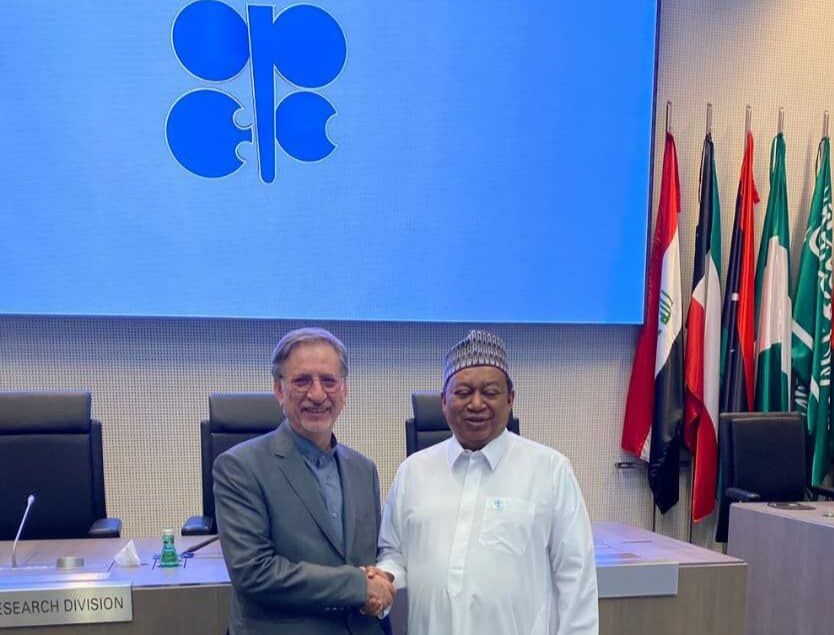 OPEC SG Welcomes Iran FM Deputy

