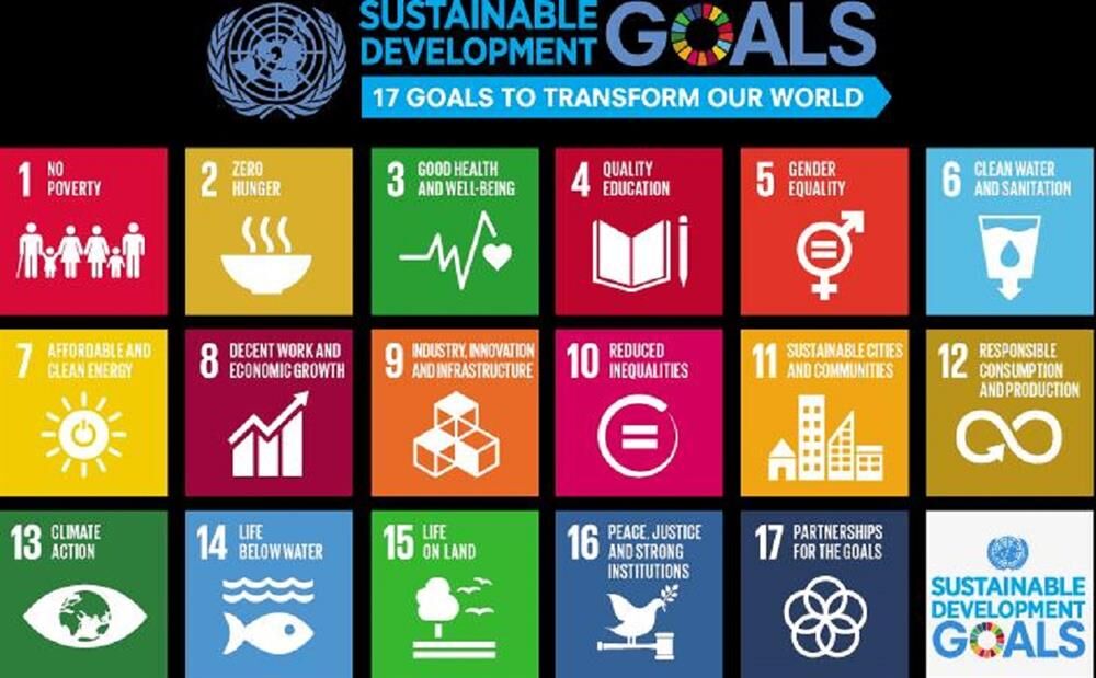1st Introductory Course Held on Sustainable Development Goals