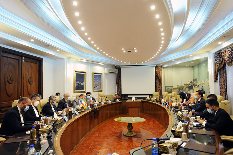 ملاقات جواد اوجی، وزیر نفت با فلیکس پلاسنسیا گونسالس، وزیر امور خارجه ونزوئلا
