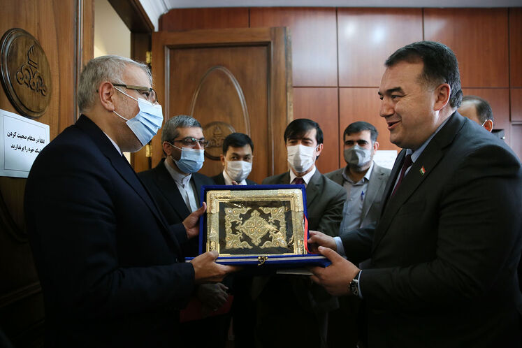 دیدار وزیر نفت با وزیر انرژی و ذخایر آبی تاجیکستان 
