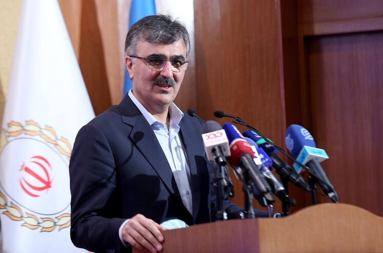 محمدرضا فرزین، مدیرعامل بانک ملی