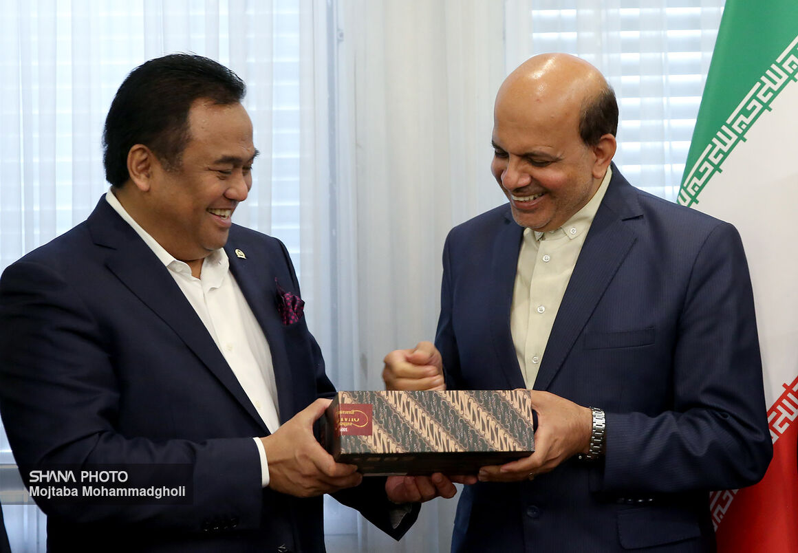 دیدار مدیرعامل شرکت ملی نفت با نایب‌رئیس مجلس اندونزی