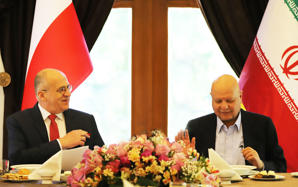 ایران آماده توسعه روابط با لهستان در بخش انرژی است