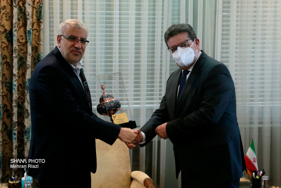 دیدار وزیر نفت با دبیرکل جی‌ئی‌سی‌اف