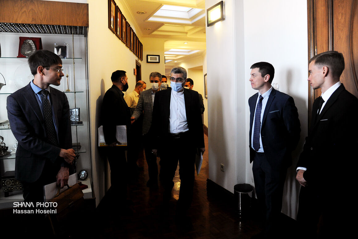 دیدار معاون امور بین‌الملل و بازرگانی وزیر نفت با معاون وزیر توسعه اقتصادی روسیه