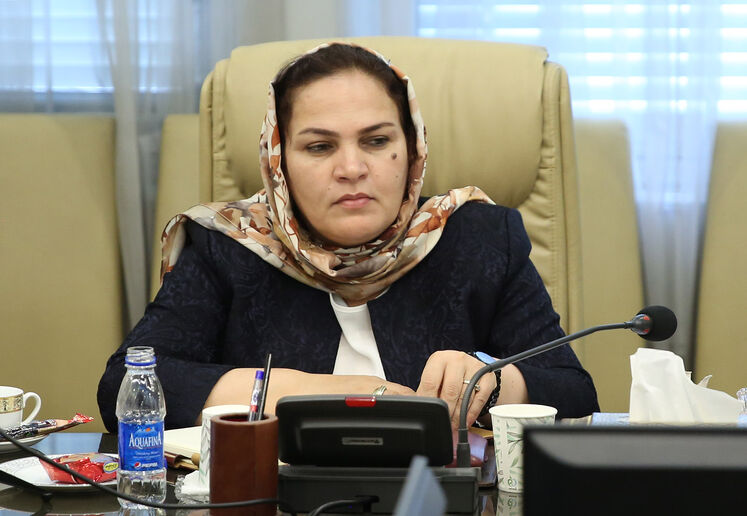 Shayesta Moradzadeh, Deputy Minister of Transport of Tajikistan 