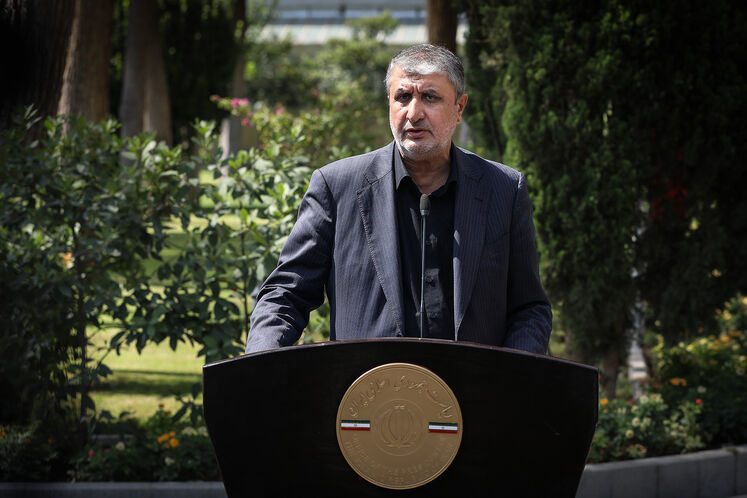 محمد اسلامی، رئیس سازمان انرژی اتمی