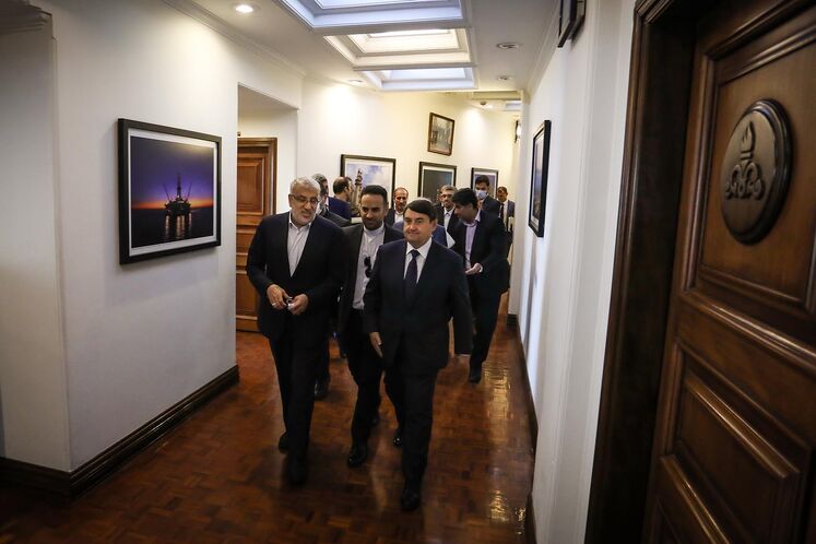 دیدار وزیر نفت با نماینده ویژه رئیس جمهوری روسیه