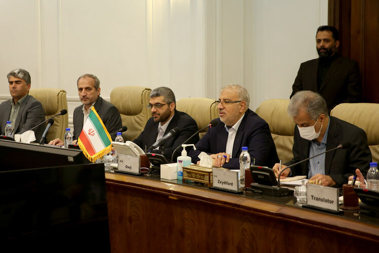 دیدار وزیران نفت ایران و نیجریه