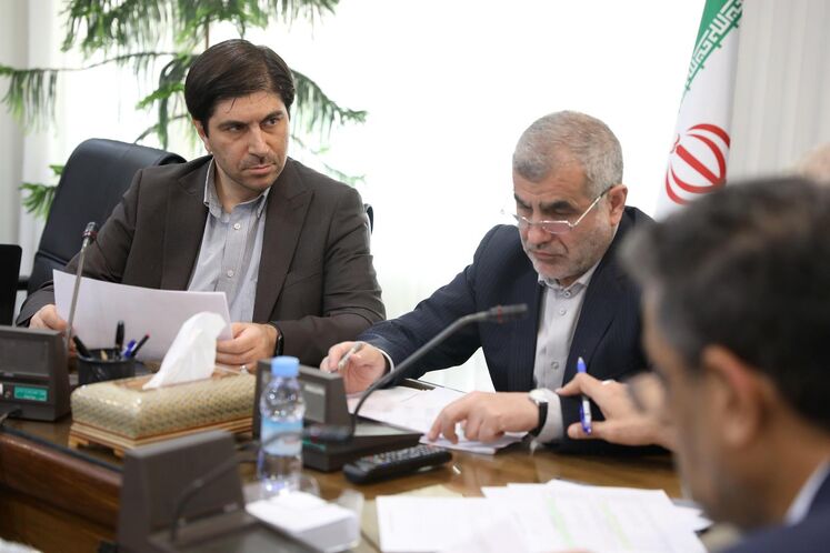 نشست مشترک نایب رئیس مجلس شورای اسلامی با وزیر نفت