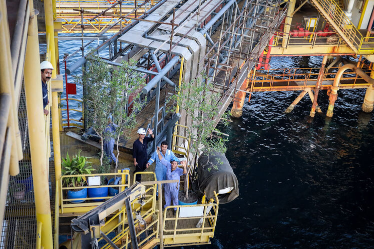 سکوی بهرهبرداری نصر