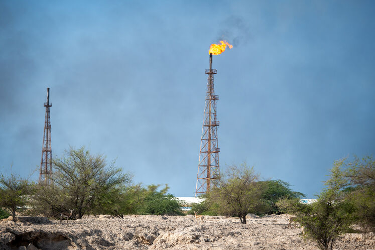 نفت فلات قاره حامی آهوان خارک