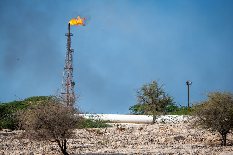 نفت فلات قاره حامی آهوان خارک