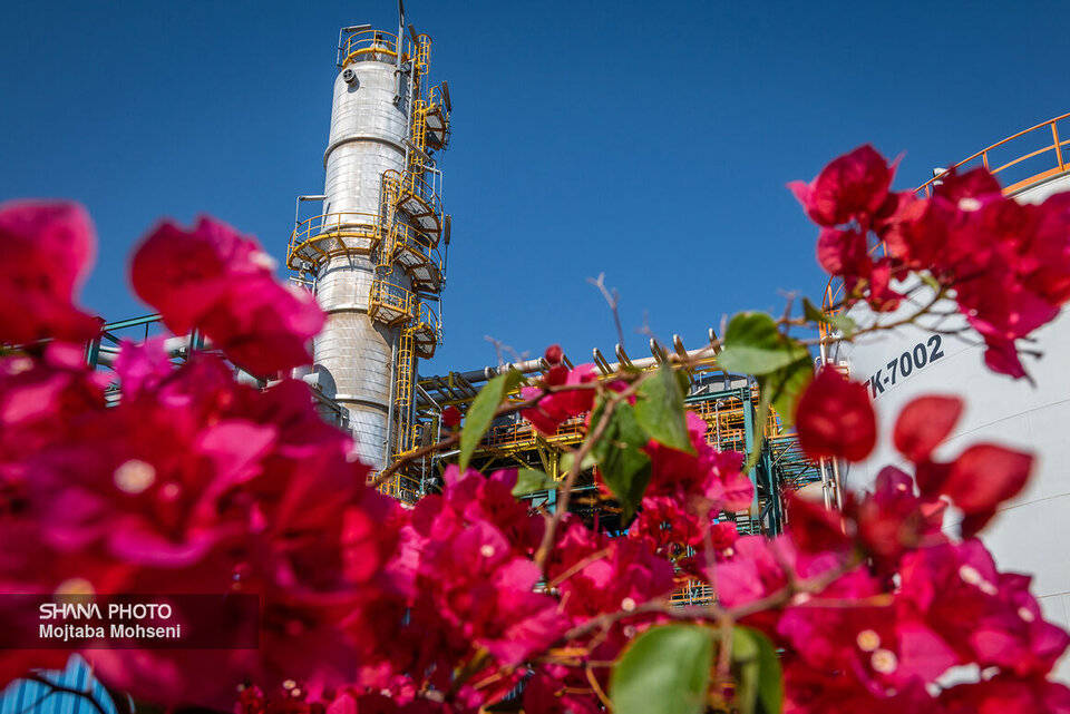 تحولات صنعت پتروشیــــمی در یکهزار و چهارصـــد و یـــک تحولات صنعت پتروشیــــمی در یکهزار و چهارصـــد و یـــک