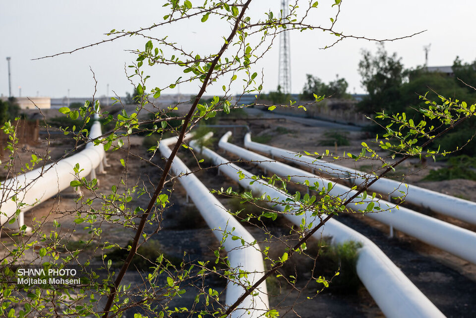 لزوم شتاب‌بخشی به اجرای پروژه خط انتقال نفت میدان ابوذر در جزیره خارک