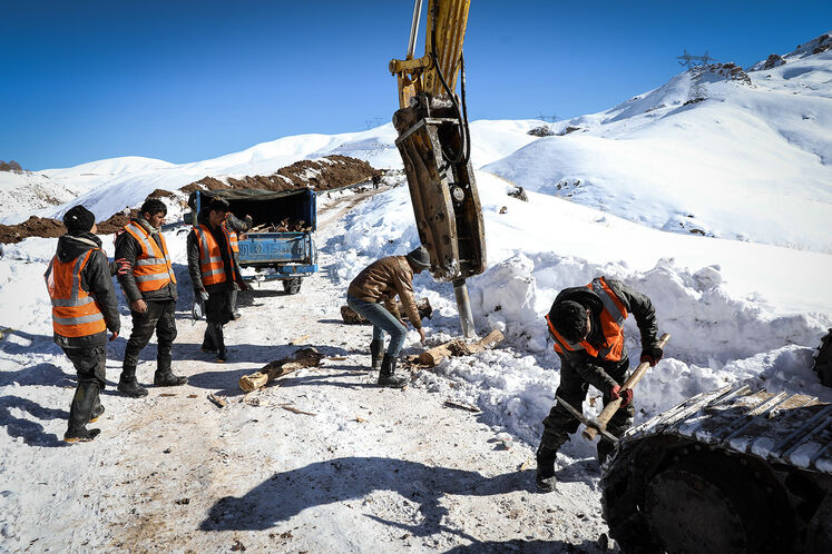 گامهای پایانی برای سبز شدنِ استان البرز