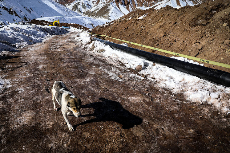 گامهای پایانی برای سبز شدنِ استان البرز