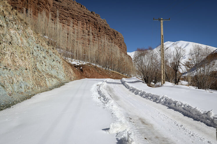 گامهای پایانی برای سبز شدنِ استان البرز