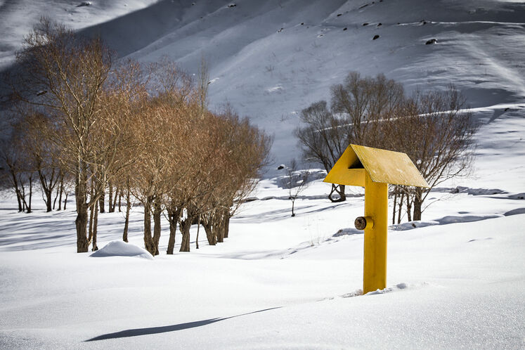 گامهای پایانی برای سبز شدنِ استان البرز