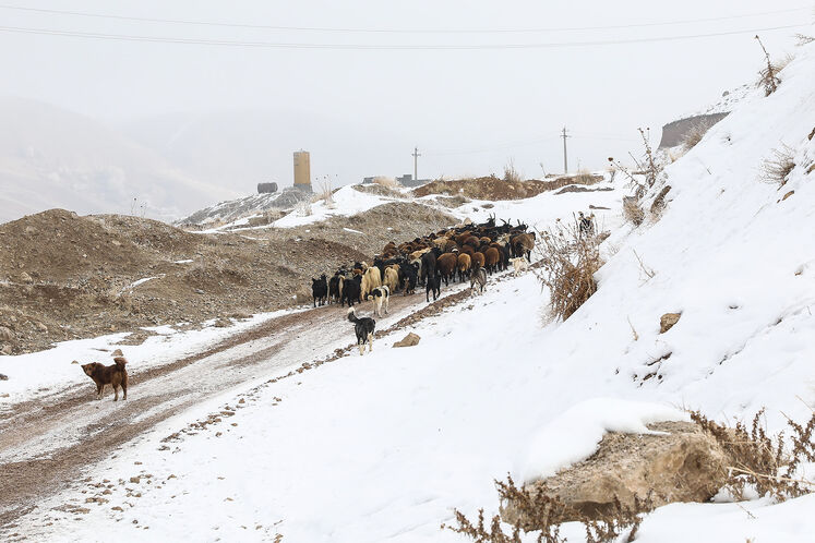 گازرسانی پایدار در روستاهای استان البرز