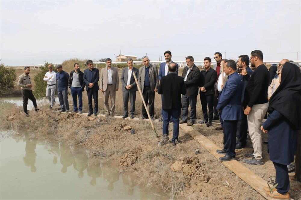 آغاز عملیات اجرایی توسعه فضای سبز ۱۰۰۰ هکتاری در خورهای ماهشهر آغاز عملیات اجرایی توسعه فضای سبز ۱۰۰۰ هکتاری در خورهای ماهشهر