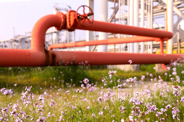 رنگ و روی بهاری در ان جی ال 1000