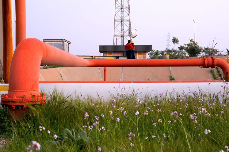 رنگ و روی بهاری در ان جی ال 1000