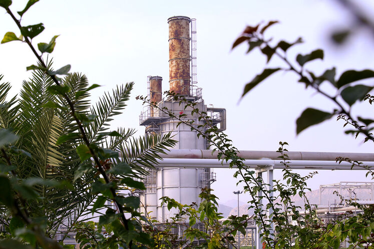 رنگ و روی بهاری در ان جی ال 1000