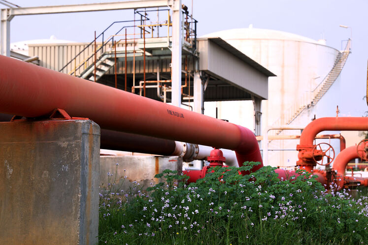 رنگ و روی بهاری در ان جی ال 1000