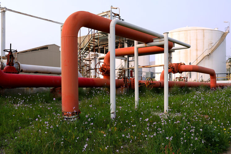 رنگ و روی بهاری در ان جی ال 1000