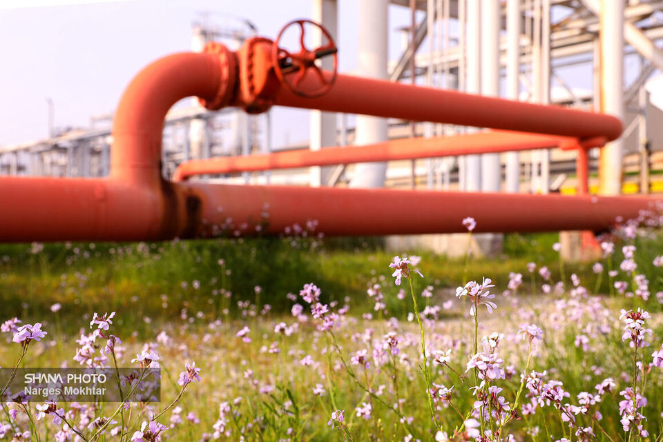 صنعت گاز، پیشران توسعه صنعت گاز، پیشران توسعه