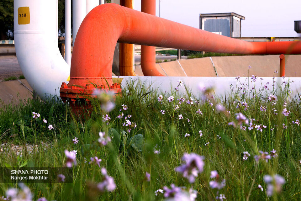 گاز به ۱۹ روستای دیگر مازندران رسید گاز به ۱۹ روستای دیگر مازندران رسید
