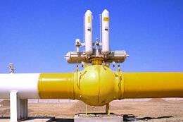 Petchem industry development focused on southern coasts: NPC