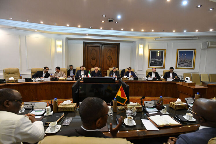 دیدار جواد اوجی، وزیر نفت با هیئت آفریقایی