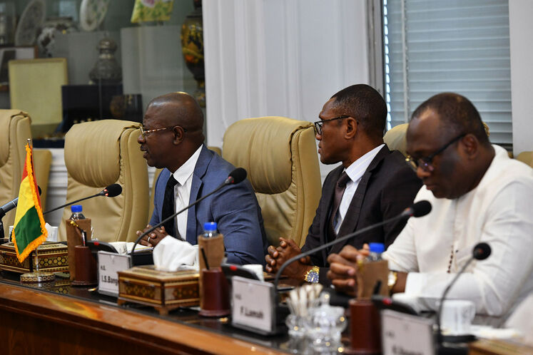 دیدار جواد اوجی، وزیر نفت با هیئت آفریقایی