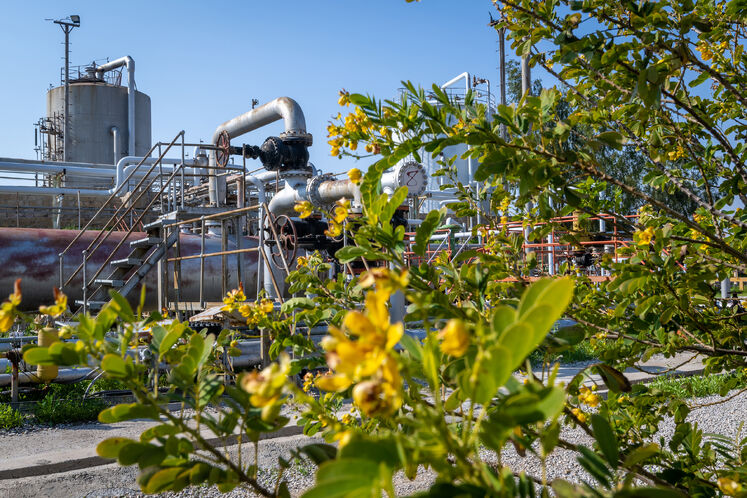 واحد بهره برداری بینک