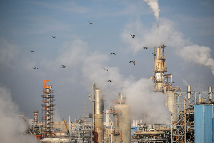 پتروشیمی مارون