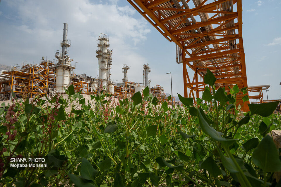 ضرورت پیشبرد و ارتقای برنامههای محیط زیستی منطقه ویژه پارس ضرورت پیشبرد و ارتقای برنامههای محیط زیستی منطقه ویژه پارس