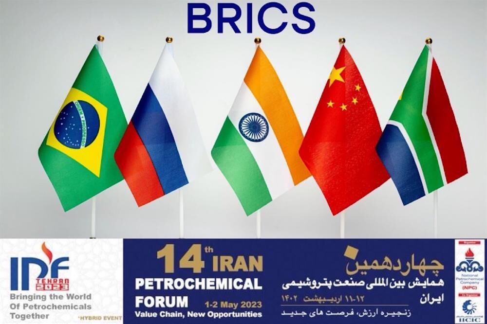 NPC official: BRICS members to meet at IPF in May