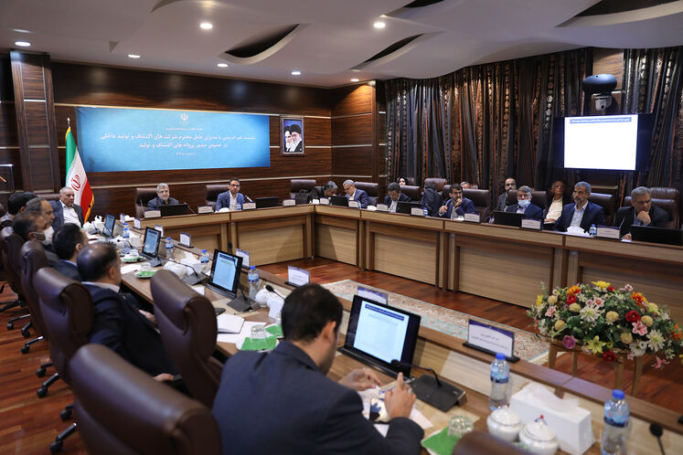 نشست هماندیشی شرکتهای اکتشاف و تولید داخلی