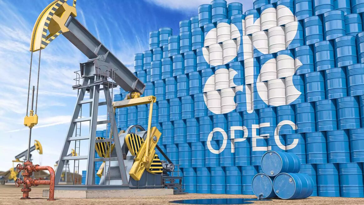 OPEC+ ministers keep output policy steady as oil rallies