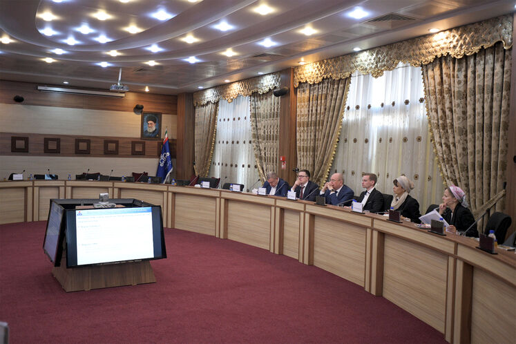 دیدار مدیران ارشد شرکت ملی نفت ایران و شرکت گازپروم روسیه