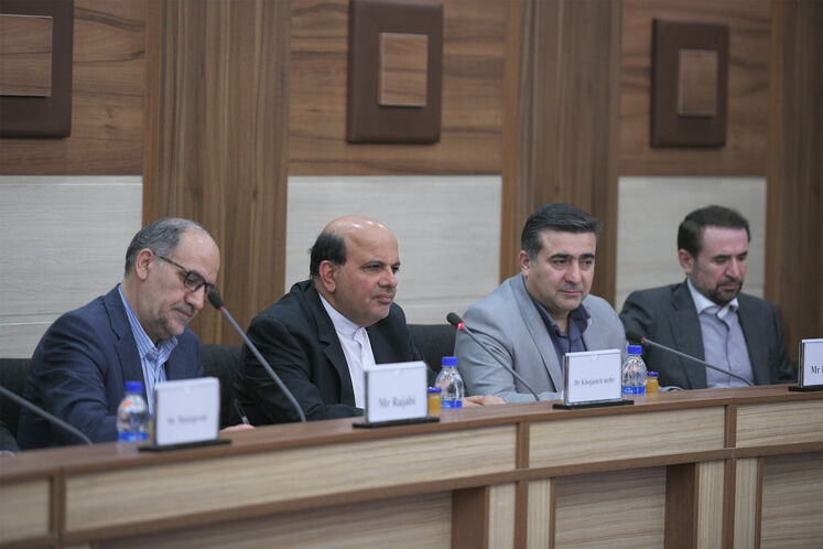 دیدار مدیران ارشد شرکت ملی نفت ایران و شرکت گازپروم روسیه