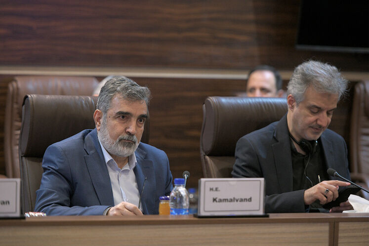  بهروز کمالوندی، سخنگوی سازمان انرژی اتمی ایران