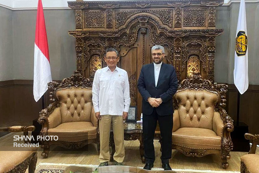 Asadzadeh: Iran-Indonesia oil cooperation to be promoted